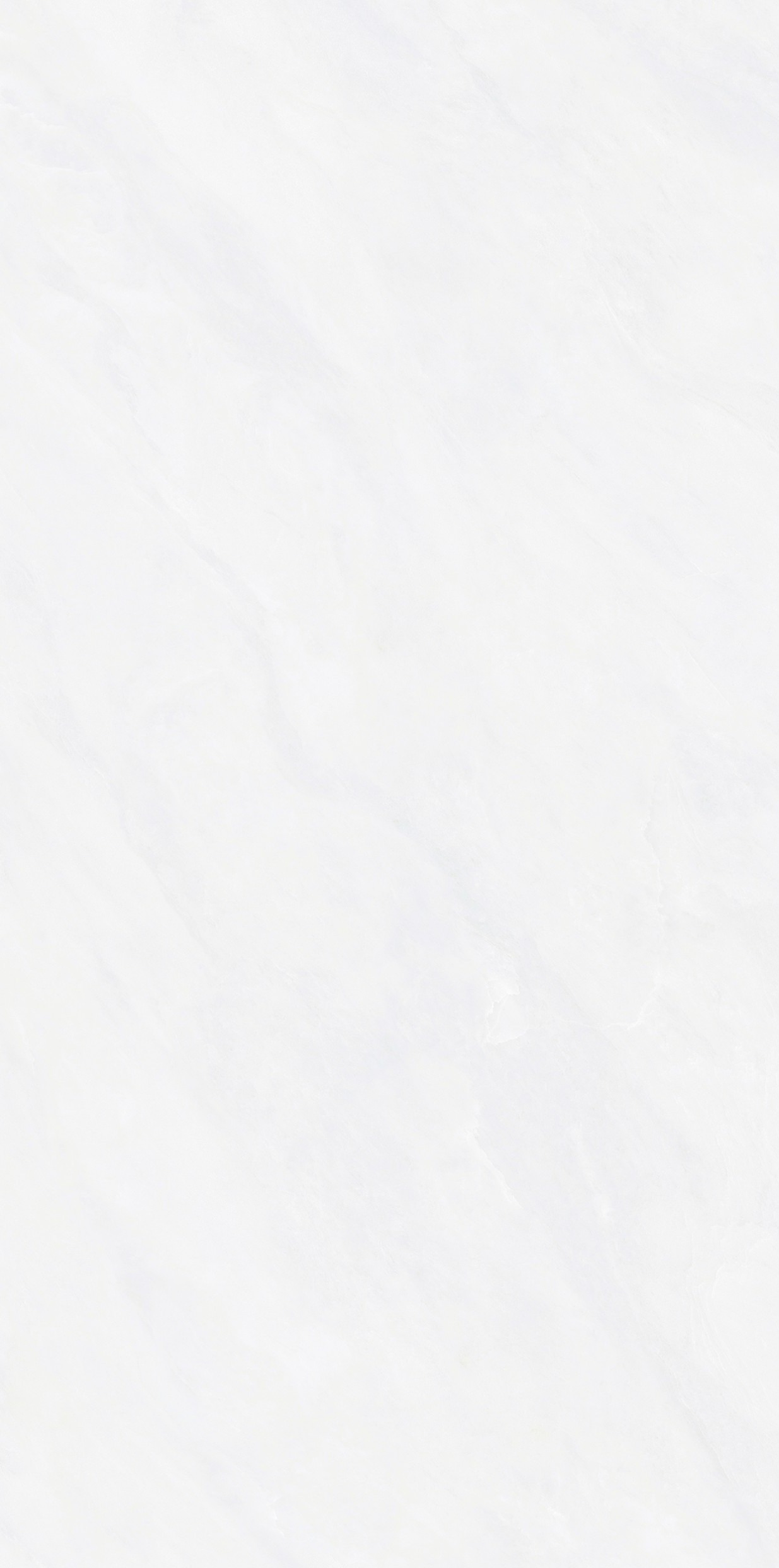 【新品】塞娜银白